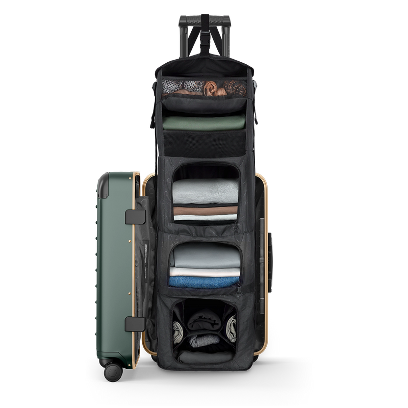 Jade/Brushed Gold | Carry-On Closet